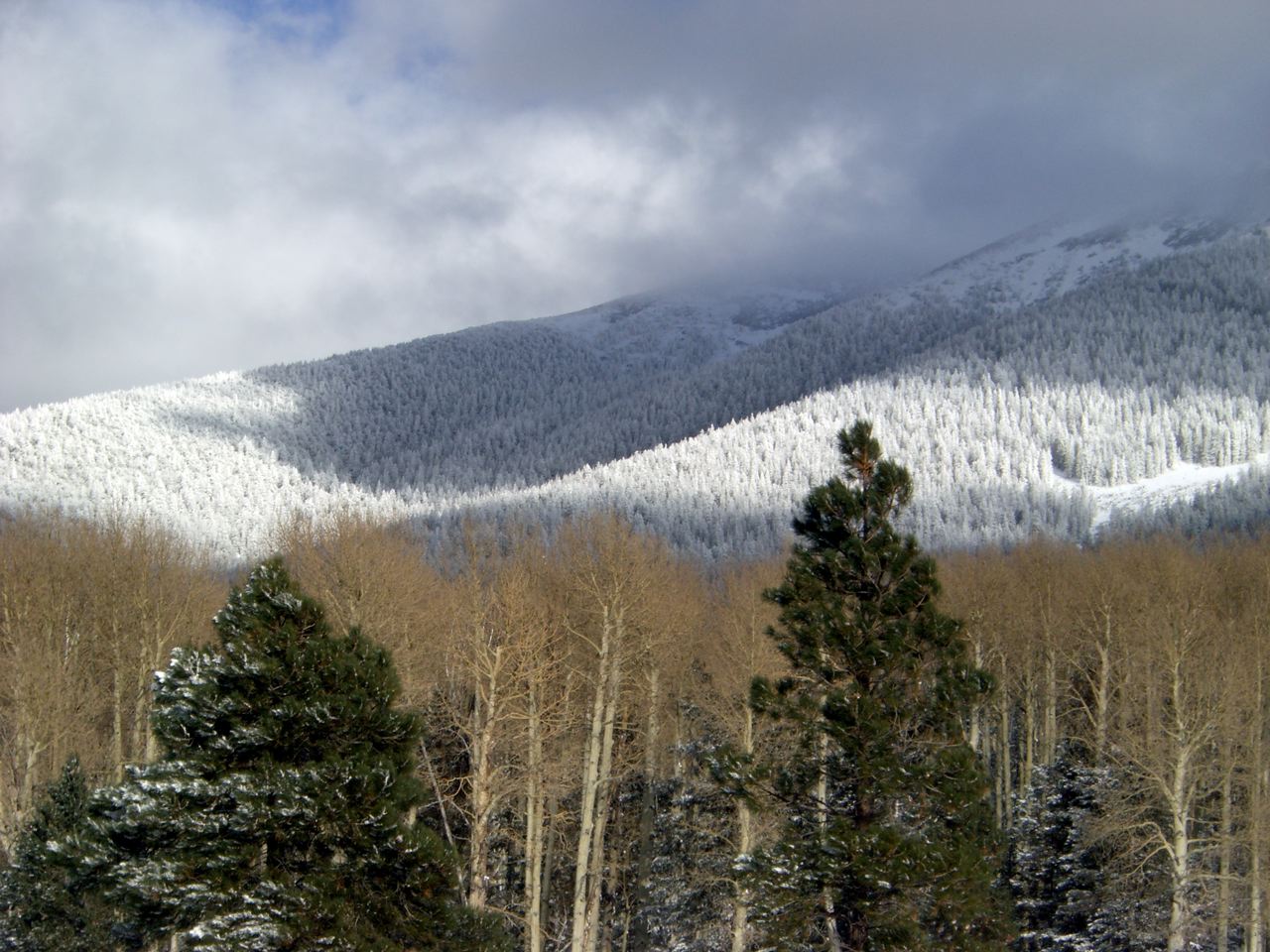 Flagstaff web design - Snow on Mt. Humphreys