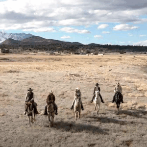 Walnut Creek Meadows Horses